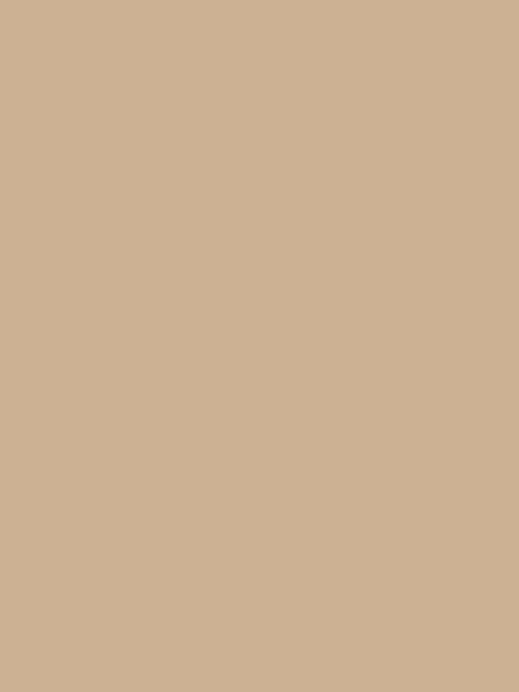 Crispy Leaf Natural Multi Surface Matt Emulsion