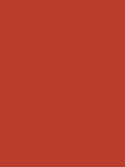 Spurn Point Red Multi Surface Matt Emulsion