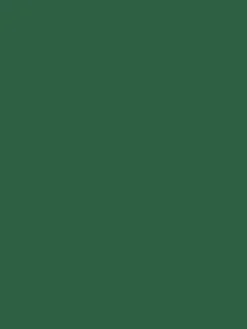 Wild Swim Green Surface Matt Emulsion