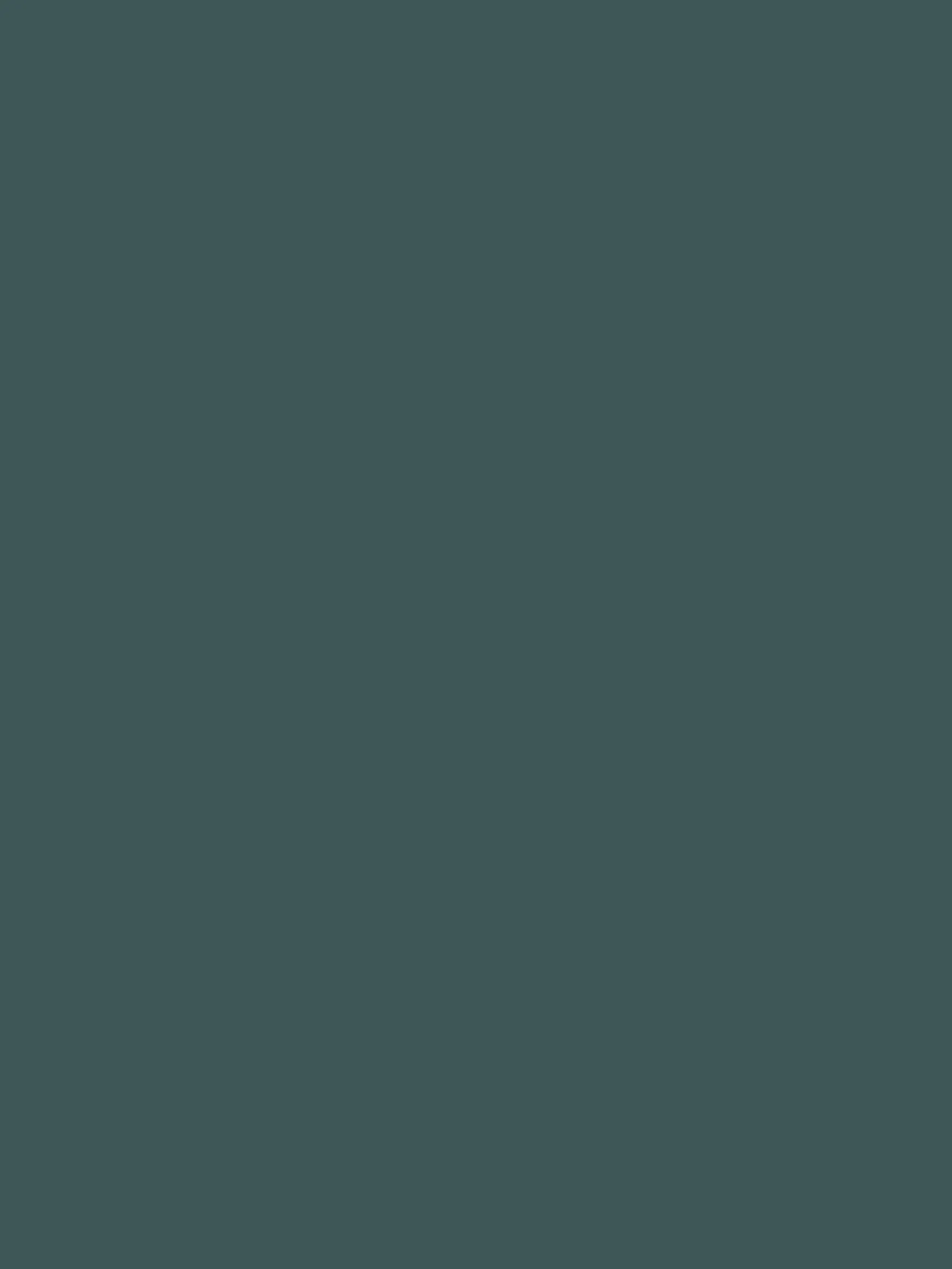 Wild Wanders Blue Surface Matt Emulsion