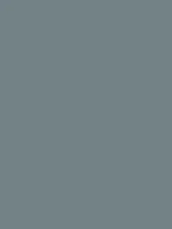 Woodlouse Grey Multi Surface Matt Emulsion